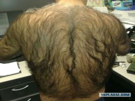 Э, просто погулять пошел. А нос от страха не заметили.