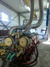 Разве не похож?