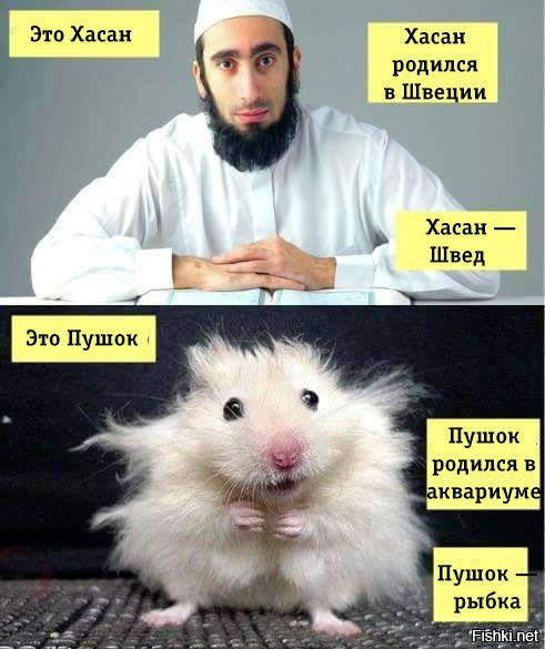 Темнокожая Британка... Ну да...