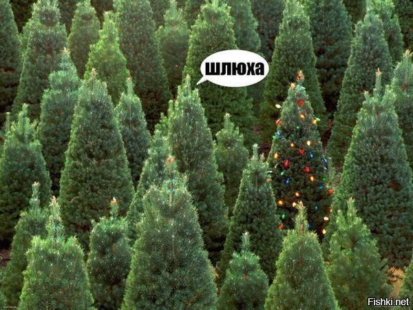 Детектив по выявлению измен призналась в собственной неверности