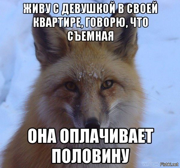 Смешные комментарии из соцсетей