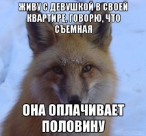 Смешные комментарии из соцсетей