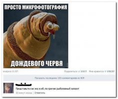 Смешные комментарии из соцсетей