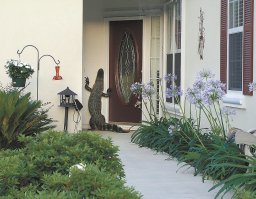 Дорогая, к тебе мама пришла