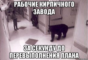 Медведь забрался в дом и "сыграл" на пианино