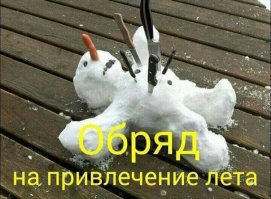 морковка не оттуда торчит
