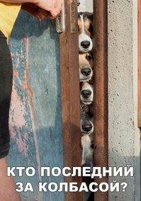 Секрет колбасного изобилия в России