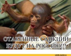 Акушеры-гинекологи помогли горилле родить здорового детеныша