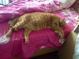 мне и в тени не плохо