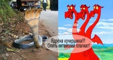Драконы с характером Брайана Кесингера