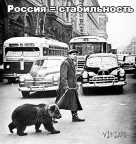 По улицам Сыктывкара в коляске мотоцикла разъезжал медведь