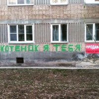 Подборка смешных забавных картинок из Интернета