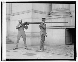 Повезло, что за деревом стоял