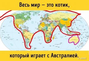 Котики, котики... Хотя что здесь удивительного, если даже :