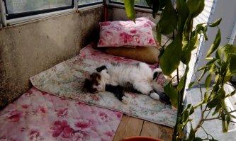 Утренний посыл: а ты шуруй на работу....
