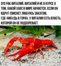 судя по цвету - рак Виталий уже не свистнет...