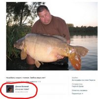 Правда или вымысел: 15 животных-гигантов