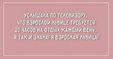Смешные открытки с надписями