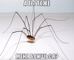 Так ,говорят , у него самый сильный яд на Земле.