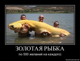 золотая рыбка