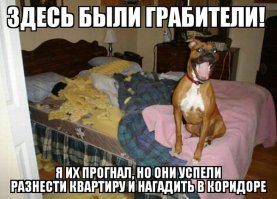 Очередная подборка картинок с подписями