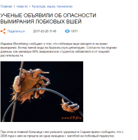 Мир оказывается в очень большой опасности !!!!!