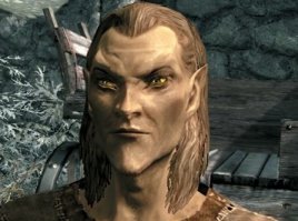 включил Skyrim  на компе с большим монитором и ушел на кухню.... слышу мой годовалый француз заливается лаем в зале...прихожу, а он  сидит на диване, смотрит на этого  и ругается