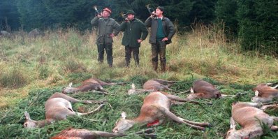 Вы главное немцам про это не рассказывайте, а то они примут вас за пациентов психушки.