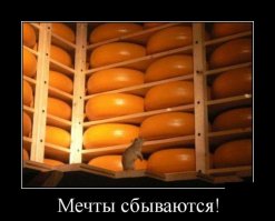 Настоящие демотиваторы