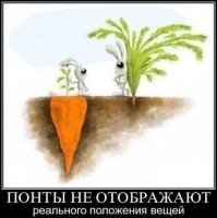Настоящие демотиваторы