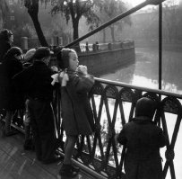 Львиный мостик