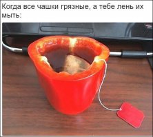 Мы так на овощебазе вино пили