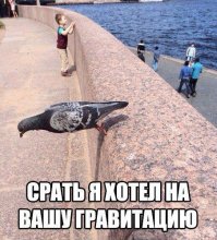 Очередная подборка картинок с подписями