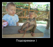 Мир - моя сцена: драматические актеры из мира животных