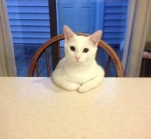 ты должен извиниться и станет легче