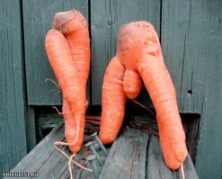 22 интересных снимка, за которые надо сказать спасибо нашему воображению