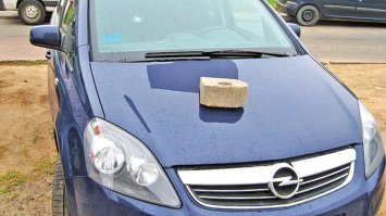 Если нет в лесу кирпичей, то сойдёт и веточка можжевельника...