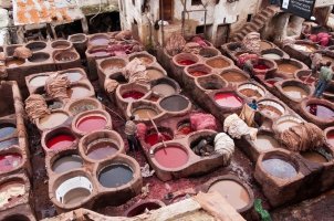 Фотоподборка за 09.06.2017