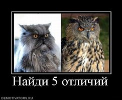  Подборка демотиваторов, которые поднимут вам настроение