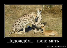  Подборка демотиваторов, которые поднимут вам настроение