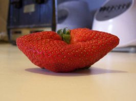 22 интересных снимка, за которые надо сказать спасибо нашему воображению