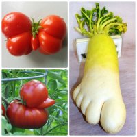 22 интересных снимка, за которые надо сказать спасибо нашему воображению