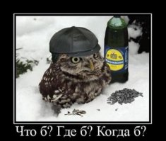  Подборка демотиваторов, которые поднимут вам настроение