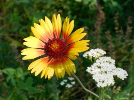 Места лишения природы