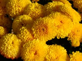 Места лишения природы