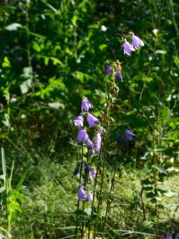 Места лишения природы