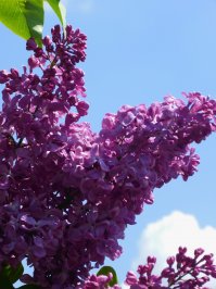 Места лишения природы