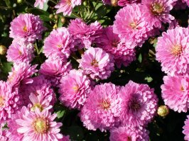 Места лишения природы