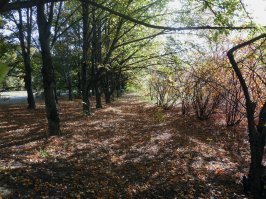 Места лишения природы
