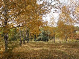 Места лишения природы